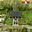 Prodej stavební parcely 1 442 m² Slaný Želevčice