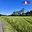 Prodej louky 1 805 m² Linhartice
