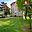 Prodej bytu 2+1 59 m² Polička Horní Předměstí, M. Bureše