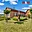 Prodej rodinného domu 74 m² Bavoryně