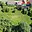 Prodej stavební parcely 3 359 m² Plavy