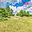 Prodej stavební parcely 1 779 m² Chodová Planá Výškov