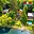 Prodej chaty 76 m² Oslnovice