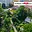 Prodej zahrady 440 m² Cvikov II