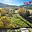 Prodej stavební parcely 902 m² Nové Město pod Smrkem, 5. května