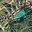 Prodej stavební parcely 1 277 m² Záchlumí Litice nad Orlicí