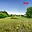 Prodej stavební parcely 934 m² Drásov