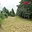 Prodej stavební parcely 1 781 m² Rychvald