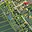 Prodej zahrady 609 m² Opatovec