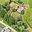Prodej louky 1 534 m² Martínkovice