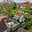 Prodej chaty 28 m² Přestanov