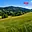 Prodej louky 4 215 m² Lužná