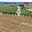 Prodej zemědělské půdy 11 115 m² Církvice