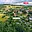 Prodej zahrady 660 m² Ludvíkovice