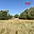 Prodej stavební parcely 5 378 m² Velemín