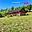 Prodej stavební parcely 2 000 m² Šedivec
