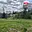 Prodej louky 3 984 m² Zlatá Olešnice