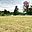 Prodej stavební parcely 1 181 m² Šebířov Vyšetice