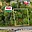 Prodej zahrady 989 m² Kostelec nad Orlicí