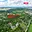 Prodej zemědělské půdy 6 766 m² Boskovice