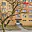 Pronájem bytu 4+1 70 m² Kladno Kročehlavy, Dánská