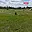 Prodej stavební parcely 1 154 m² Nový Oldřichov