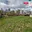 Prodej stavební parcely 824 m² Město Albrechtice