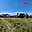 Prodej stavební parcely 8 083 m² Volary, Finské domky