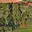 Prodej lesa 8 513 m² Vidochov