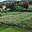 Prodej stavební parcely 1 184 m² Volfartice