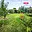Prodej zahrady 316 m² Louny