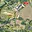 Prodej stavební parcely 854 m² Lubenec