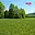Prodej louky 26 090 m² Vysoká Srbská