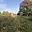 Prodej zahrady 2 259 m² Údlice