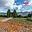 Prodej obchodu 290 m² Bernartice