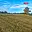 Prodej stavební parcely 9 359 m² Pertoltice Dolní Pertoltice