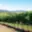 Prodej ostatního pozemku 90 769 m² Dolní Dunajovice, Hlavní