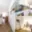 Pronájem bytu 3+kk 69 m² České Budějovice 6, Čechova