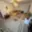 Pronájem bytu 2+1 72 m² Průhonice, Říčanská