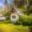 Prodej chaty 50 m² Borovnice