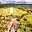 Prodej stavební parcely 4 020 m² Horní Dvořiště