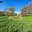 Prodej stavební parcely 1 696 m² Vlkov