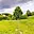 Prodej stavební parcely 1 718 m² Malá Morávka