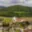 Prodej stavební parcely 800 m² Ruda nad Moravou, 9. května