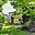 Prodej chalupy 106 m² Vestec