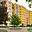 Pronájem bytu 1+1 36 m² Žatec, Javorová