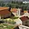 Prodej ostatního komerčního prostoru 3 503 m² Předhradí
