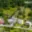Prodej stavební parcely 1 276 m² Kuřim