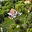 Prodej chaty 40 m² Bílovice nad Svitavou