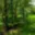 Prodej louky 4 957 m² Broumy
